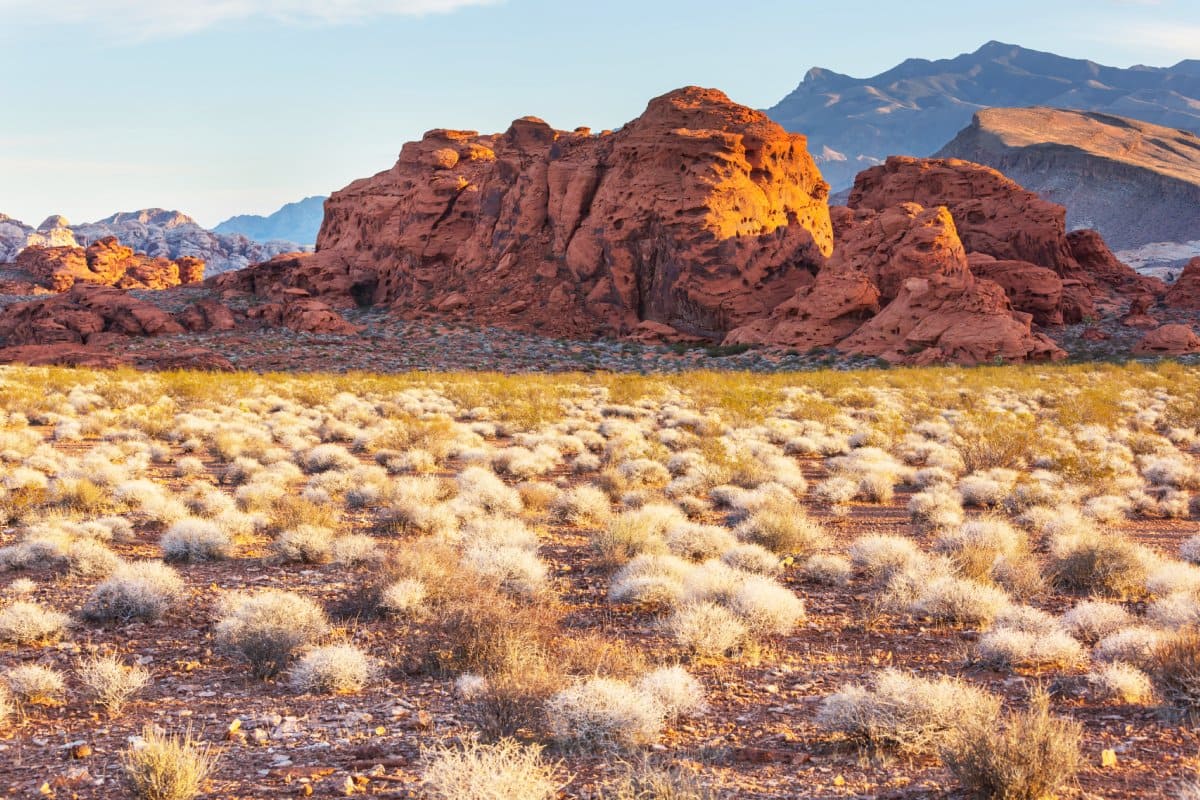 ATV and Desert Adventure Tours in Las Vegas